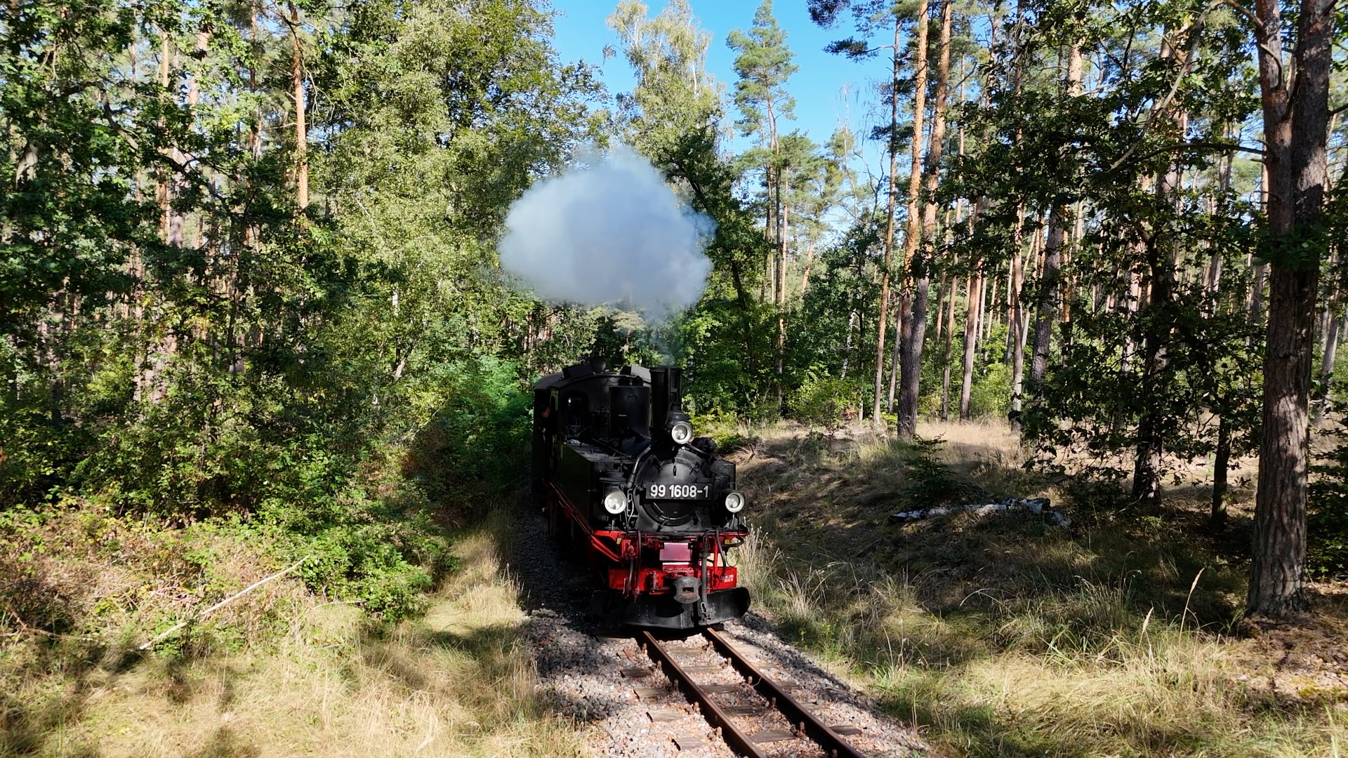 Kleinbahn des Kreises Jerichow Ein Dampflok im Wald bei Magdeburgerforth auf einem wiederaufgebauten Streckenabschnitt der ehemaligen Kleinbahnen des Kreises Jerichow I.